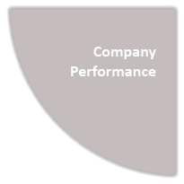 Company Performance